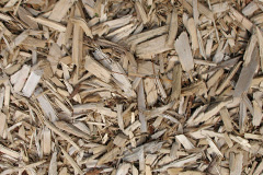 biomass boilers Fylingthorpe